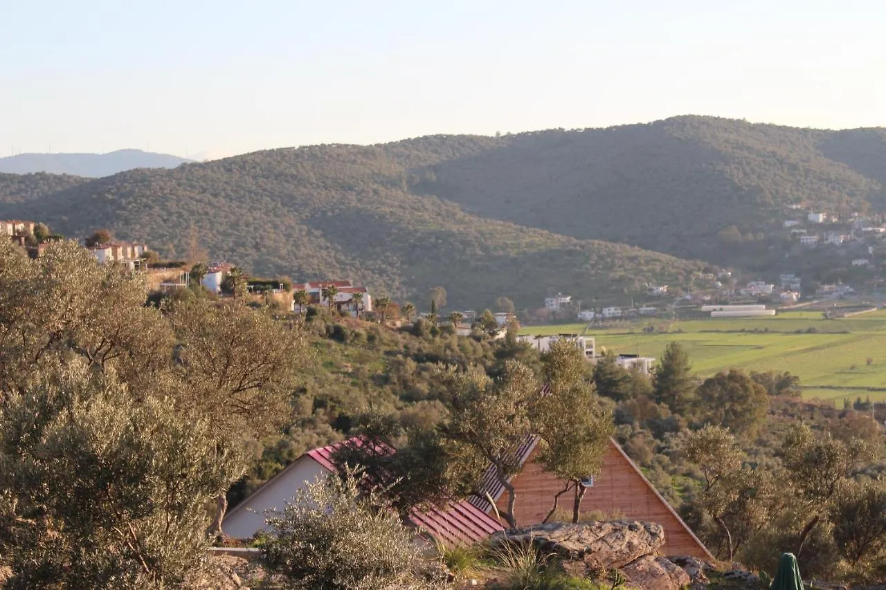 Отель Olive Garden Retreat Миляс Турция