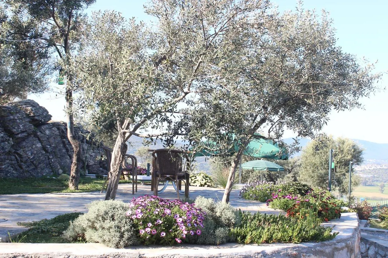 Отель Olive Garden Retreat Миляс