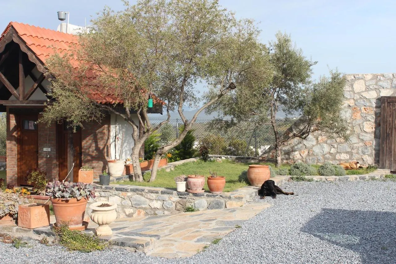 Отель Olive Garden Retreat Миляс Турция