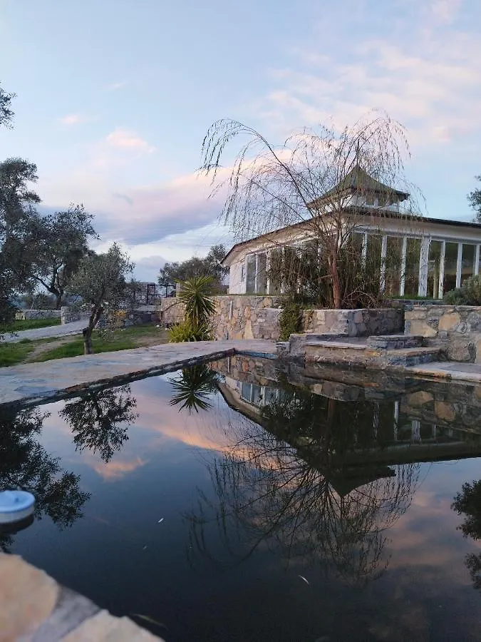 Отель Olive Garden Retreat Миляс
